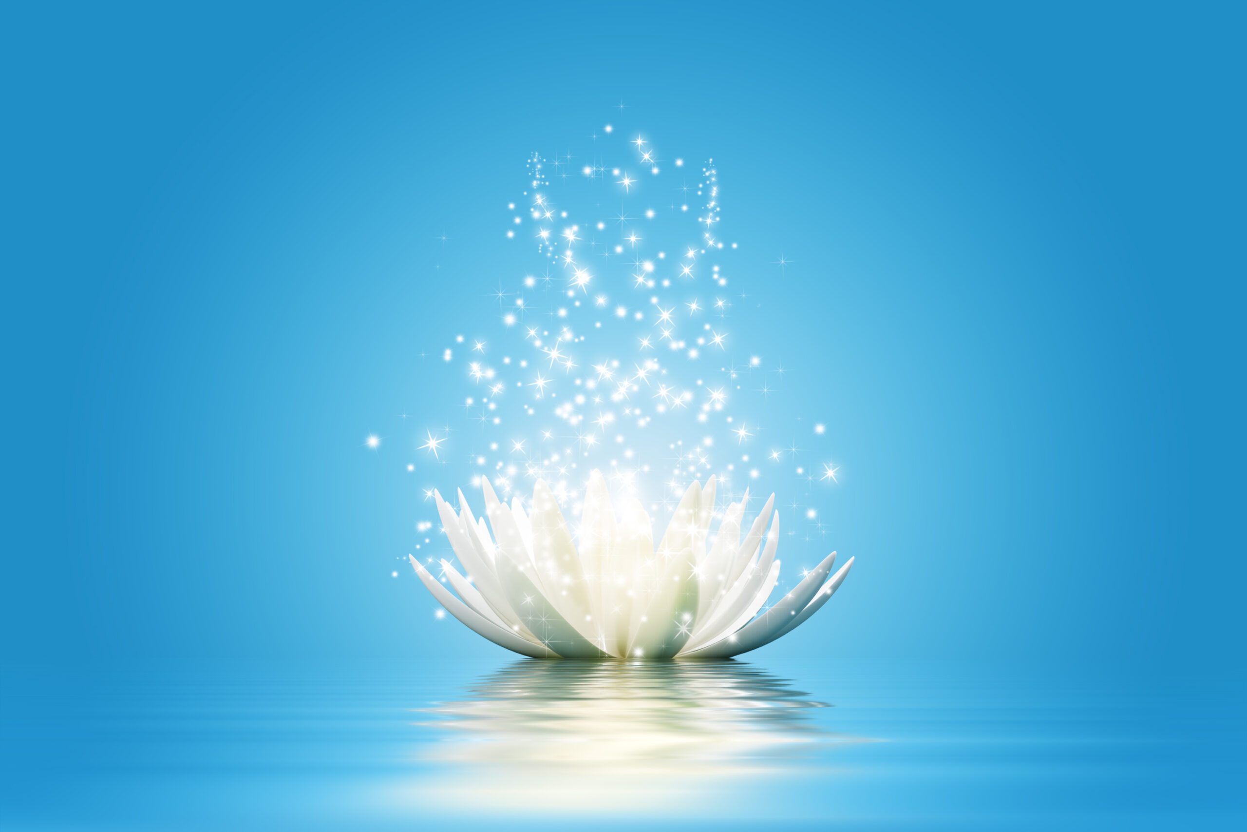 Lotus flower clinical nutritionist in Trivandrum